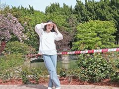 -嘉定紫藤园