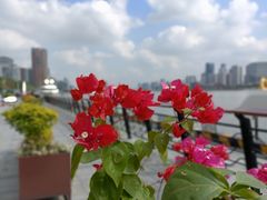 -北外滩滨江绿地