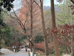 -敬亭山风景名胜区