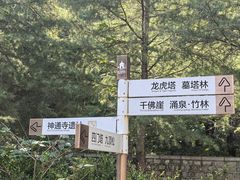 -四门塔风景区