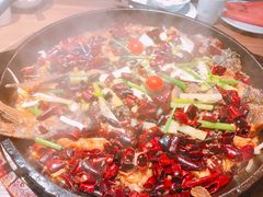 -老板恋上鱼(印象城店)