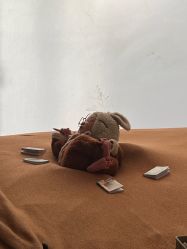 -玛瑞莎孕婴童摄影到家拍