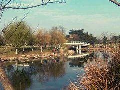 -九里河湿地公园
