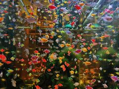 -大江户·温泉洗浴(浑南店)