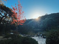 -香山公园
