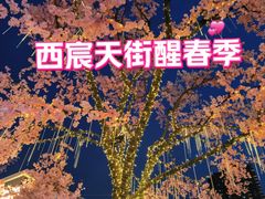 -首开·龙湖成都西宸天街