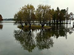 -贡湖湾湿地公园