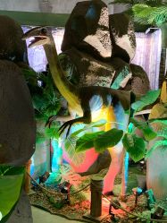 -恐龙探索乐园(磁器口店)