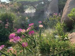 -罗红摄影艺术馆