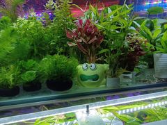 -双季花艺园艺市场(浦东店)