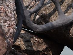 -幕燕滨江·燕子矶公园