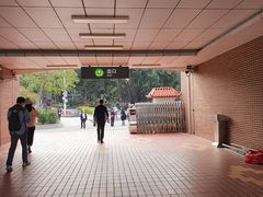 -鼓浪屿内厝澳码头(轮渡站)