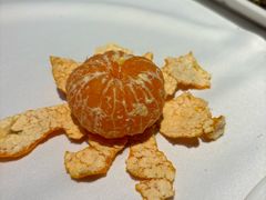 餐前蜜桔-四季民福烤鸭店(王府井灯市口店)