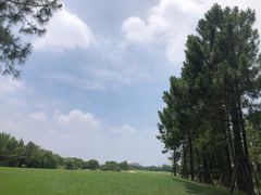 -东庄海岸高尔夫俱乐部