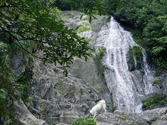 -东天目山风景区