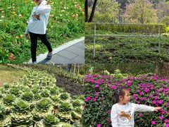 -云溪植物园