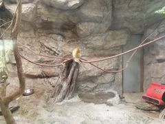 -东部华侨城