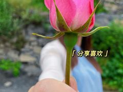 -孟屯河谷景区