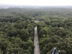 -灵谷景区