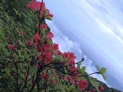-大围山国家森林公园