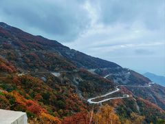 -白草畔自然风景区
