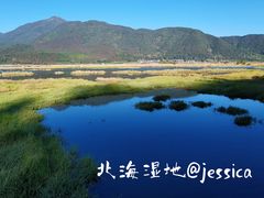 -腾冲北海湿地
