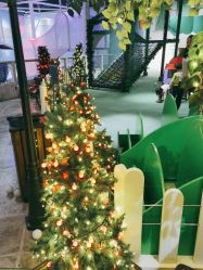 -幻贝家儿童乐园(武汉永旺梦乐城店)