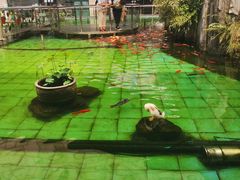 -陕西自然博物馆