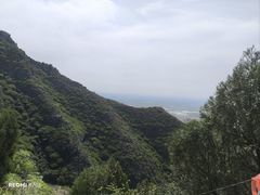 -富平县金粟山森林公园
