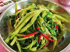 -阿鸟农庄(石壁店)