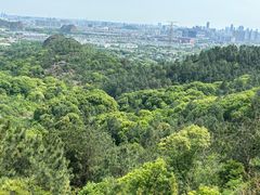 -灵岩山风景区
