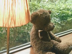 -咖法森林·咖啡  酒吧(天河店)