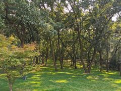 -金孔雀温泉旅游度假村