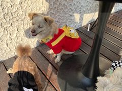 -一尺花园(安和花园店)