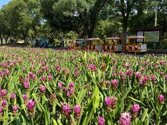 -东南花都花博园