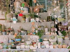 -循礼门鲜花花市(武汉循礼门店)