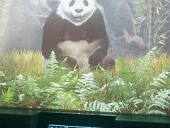 -珠海横琴国家地理探险家中心(创新方)