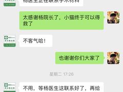 -爱侣宠医·鹦鹉专科·小型哺乳类·异宠专科(灵石路店)