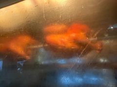 -丽都DELICATESSEN熟食店