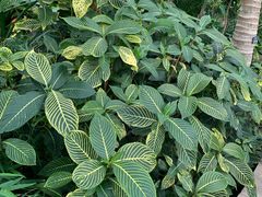 -北京植物园-展览温室