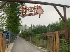 -上海长兴岛郊野公园