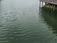 -函谷关历史文化旅游区