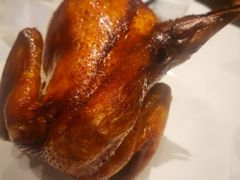 -稻香酒家·33年老字号·港式粤菜(富邦中心店)