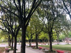 -新江湾城公园