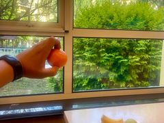 -凤鸣阁餐厅（凤山温泉宴宾楼）(昌平镇店)