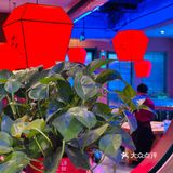 被东北朋友‼️反复拉来吃的铁锅炖…