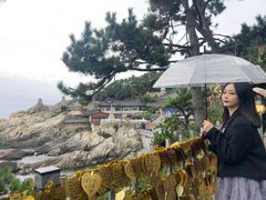 -海东龙宫寺