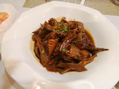 -看见远方·莫干遥远的山民宿