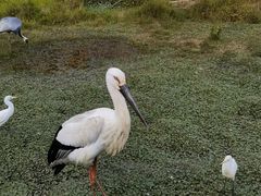 -普洱太阳河森林公园