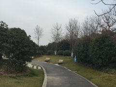 -陈行公园